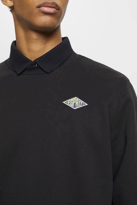 Esprit dressipluusid ja pusad mehed must dressipluus logotrükiga tagaküljel Z24R643