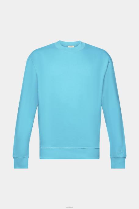 Esprit dressipluusid ja pusad mehed vesiroheline tikitud varrukalogoga dressipluus Z24R724