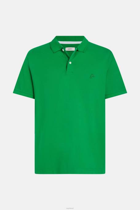 Esprit polod mehed roheline delfiinide tenniseklubi klassikaline polo Z24R894